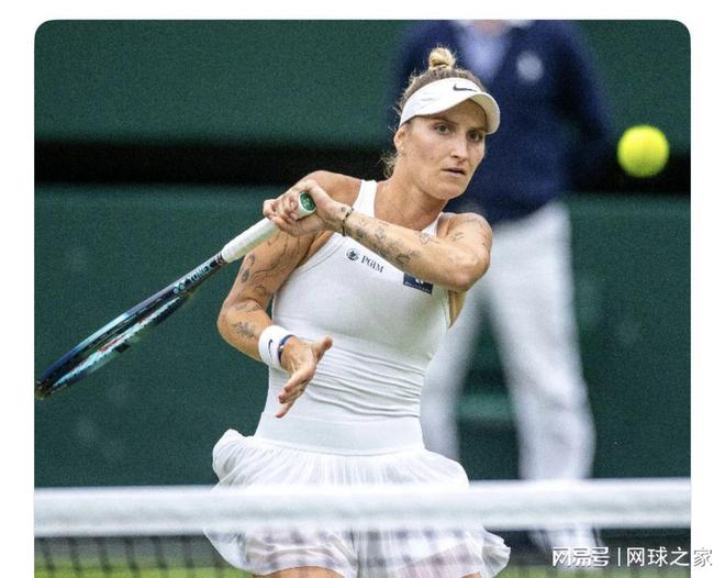 了若塔兄弟 了若塔兄弟